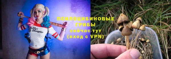 эйфоретик Алексеевка