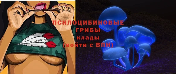 эйфоретик Алексеевка