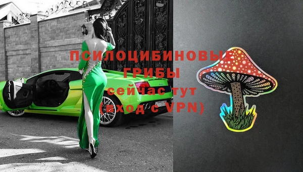 кокс Алексин