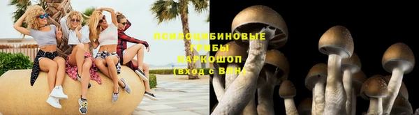 эйфоретик Алексеевка