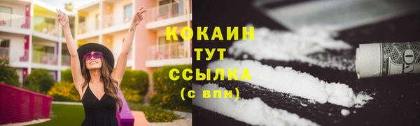 кокс Алексин